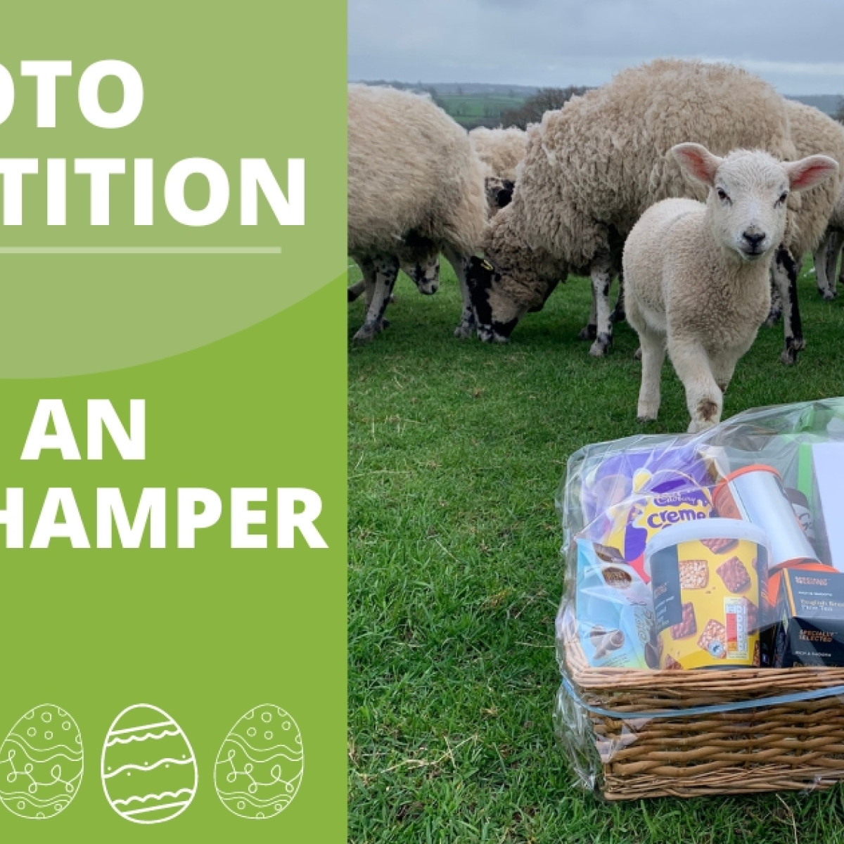 Farm Easter hamper competition terms and conditions Paragon Vets