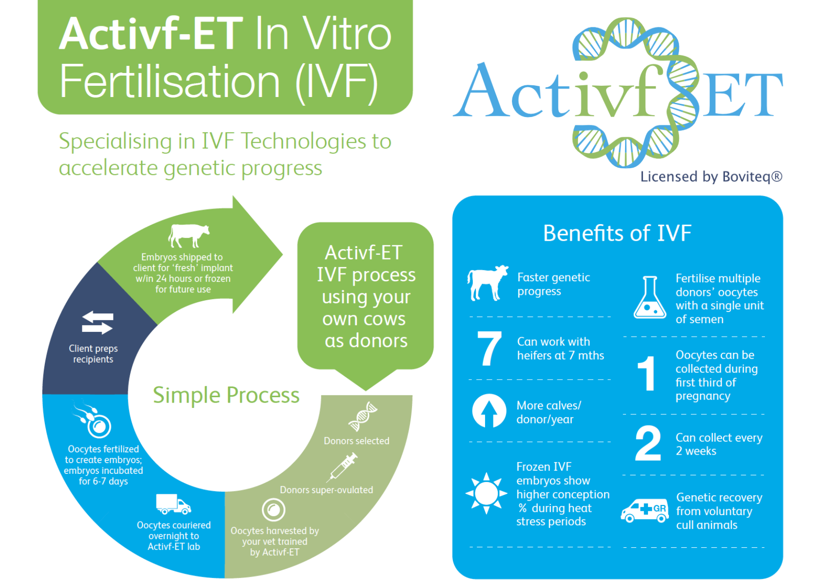 IVF | Paragon Vets