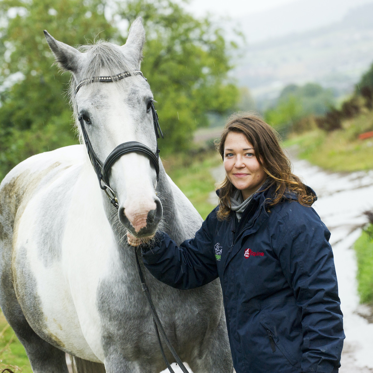 Sarcoids in horses Paragon Vets