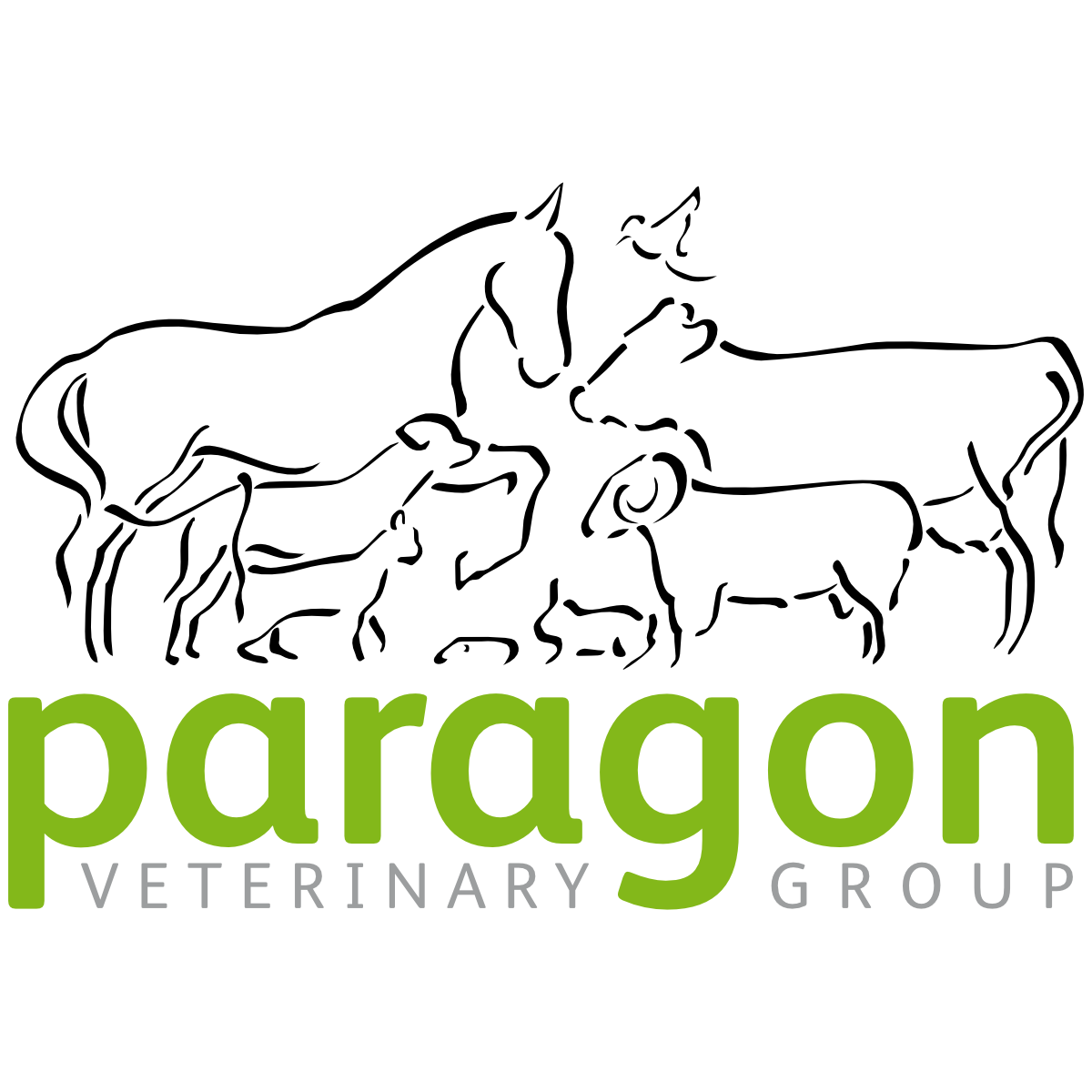 Meet the Team | Paragon Vets